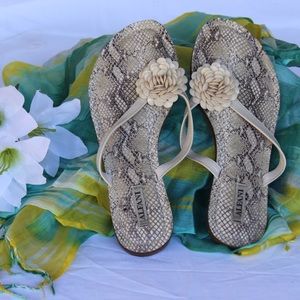Alfani Creme Floral Thong Sandals size 10